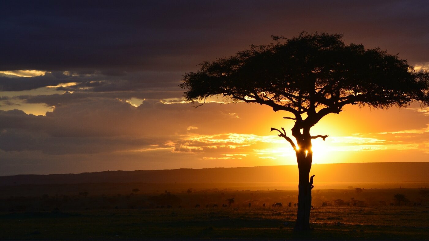 Sunset in Africa